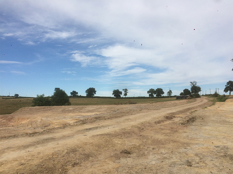 Prestations de terrassement pour professionnels, Allier 03